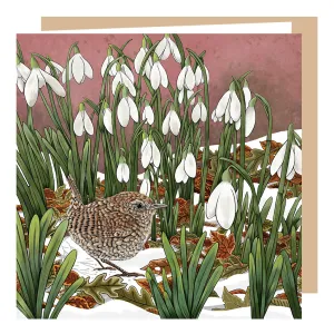 'If you look closer' Wren and Snowdrops Card